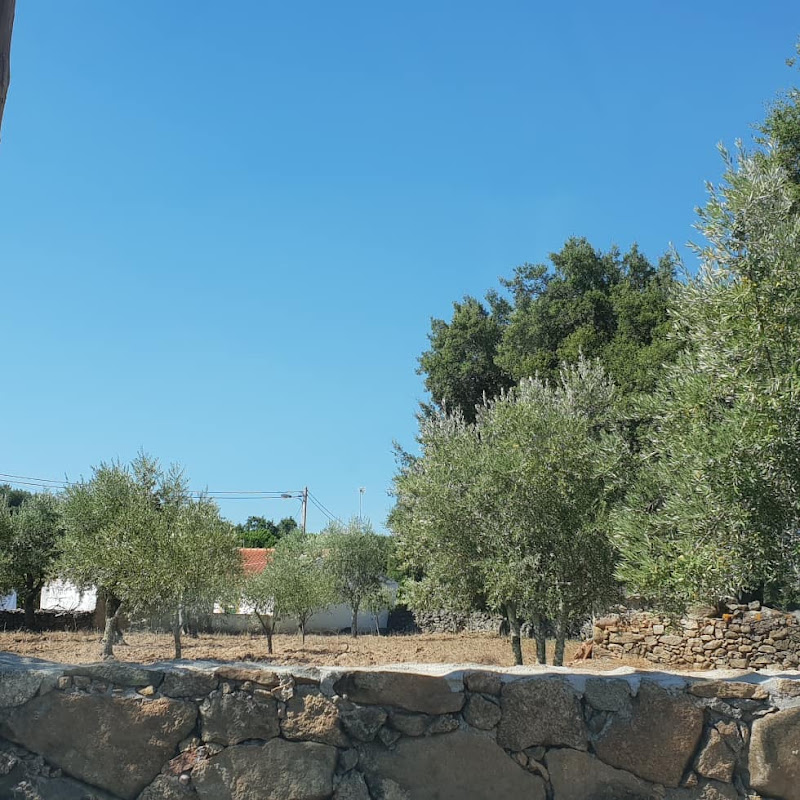 Health Center Portalegre