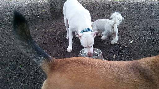 Dog Park «St. Anthony Parkway Off-Lease Dog Park», reviews and photos, 700 St Anthony Pkwy, Minneapolis, MN 55418, USA