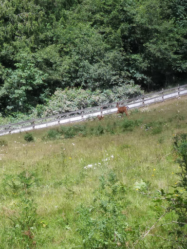 Park «Meridian Habitat Park & Community Center», reviews and photos, 14422 Meridian E, Puyallup, WA 98375, USA