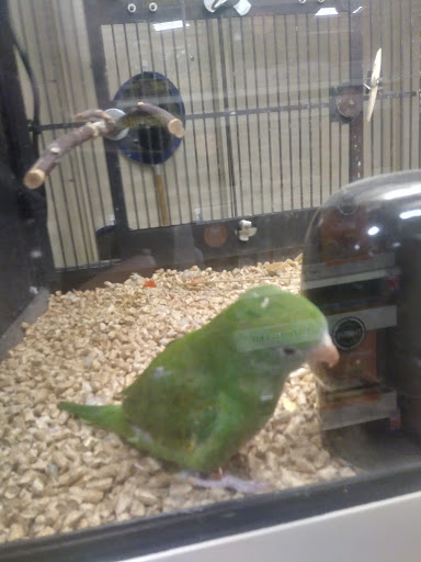 Pet Supply Store «PetSmart», reviews and photos, 3665 Marketplace Blvd, East Point, GA 30344, USA