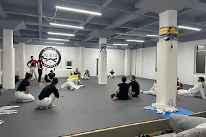 Napoca Jiu Jitsu Academy image