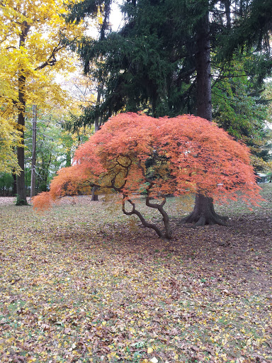 Park «Brookdale Park», reviews and photos, 473 Watchung Ave, Bloomfield, NJ 07003, USA