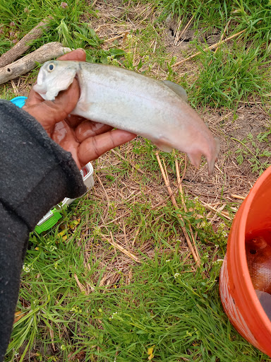 Golf Club «Grand Marais Golf Club», reviews and photos, 5802 Lake Dr, East St Louis, IL 62203, USA