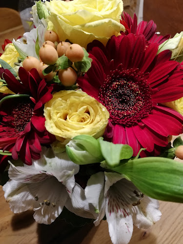 Kommentare und Rezensionen über Blumen Atelier Floristica