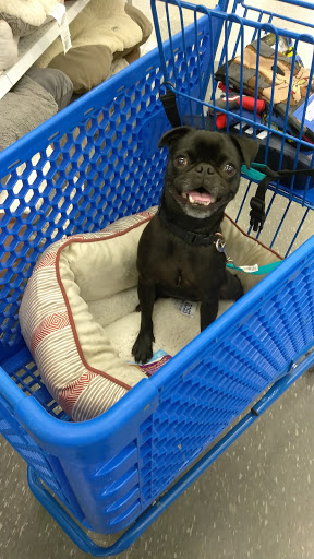 Pet Supply Store «PetSmart», reviews and photos, 2760 W 120th St, Hawthorne, CA 90250, USA