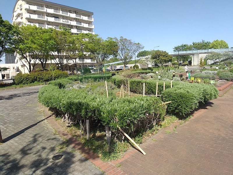 都立汐入公園日時計広場（ハーブガーデン）