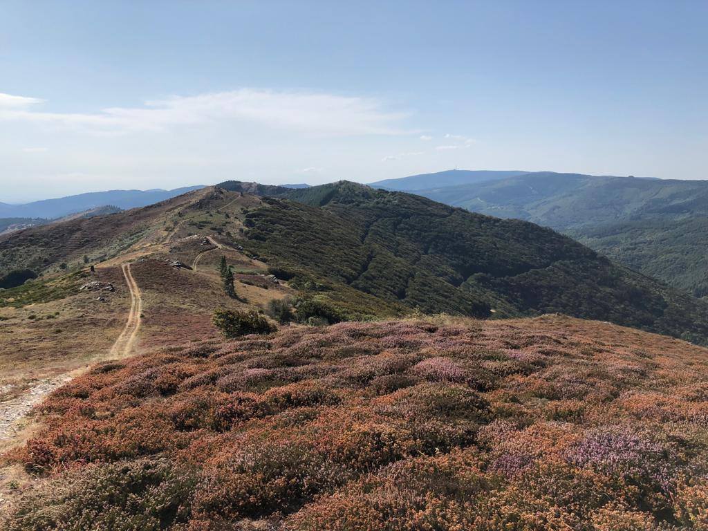 Photo n° 5 de l'avis de Rafik.l fait le 21/09/2018 à 10:05