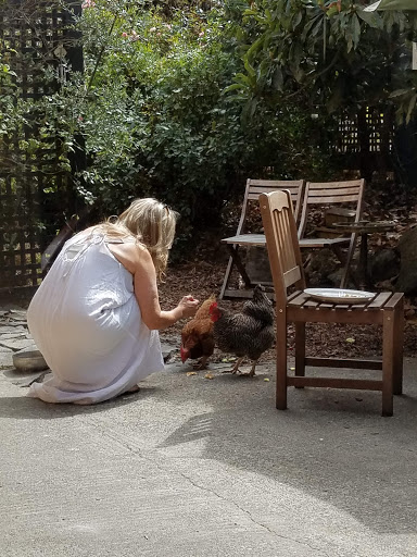 Fine Dining Restaurant «Sonoma Wine Shop / La Bodega Kitchen», reviews and photos, 2295 Gravenstein Hwy S, Sebastopol, CA 95472, USA