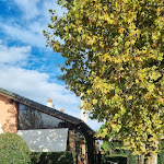 Photo n°3 de l'avis de Paolo.i fait le 04/11/2023 à 11:19 sur le  Trattoria Da Olindo à Venice