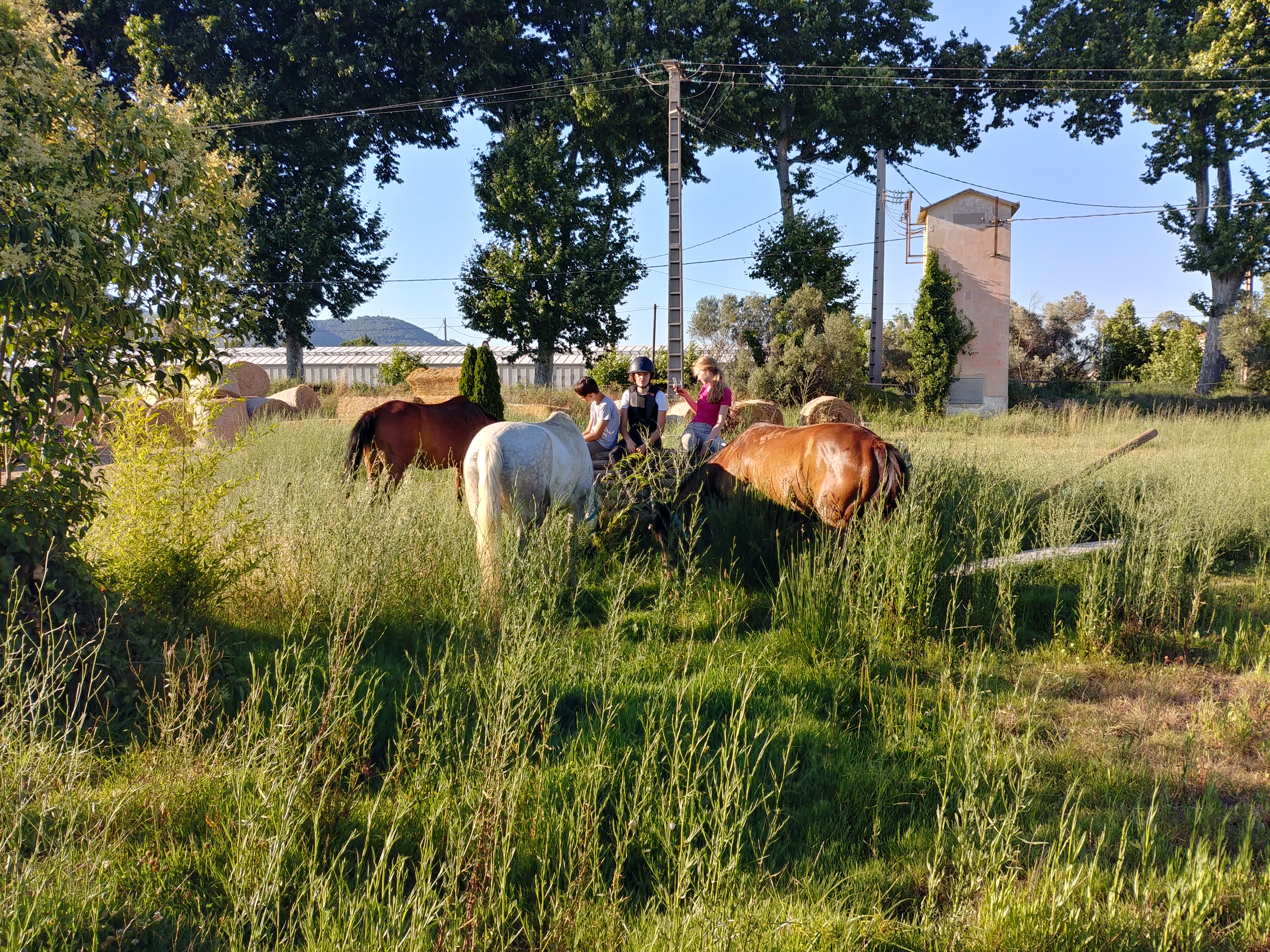 Photo n° 1 de l'avis de Valérie.H fait le 30/06/2020 à 21:34