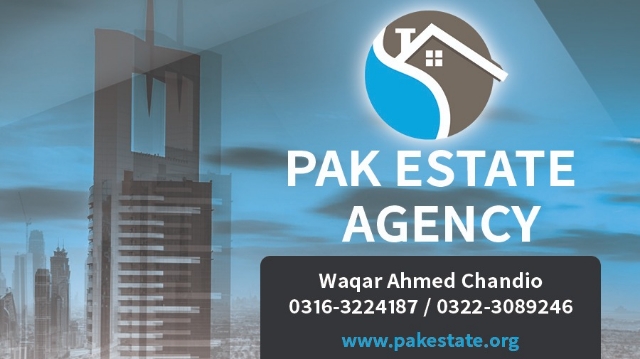 Pak Estate Agency