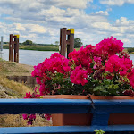Photo n°7 de l'avis de SiMos.r fait le 02/09/2022 à 16:42 sur le  Schiffsgaststätte Störtebeker à Tangermünde