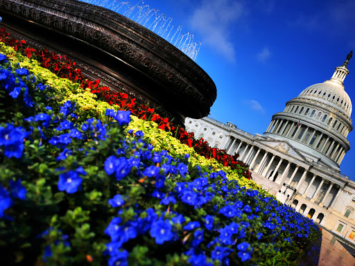 Historical Landmark «United States Capitol», reviews and photos, East Capitol St NE & First St SE, Washington, DC 20004, USA