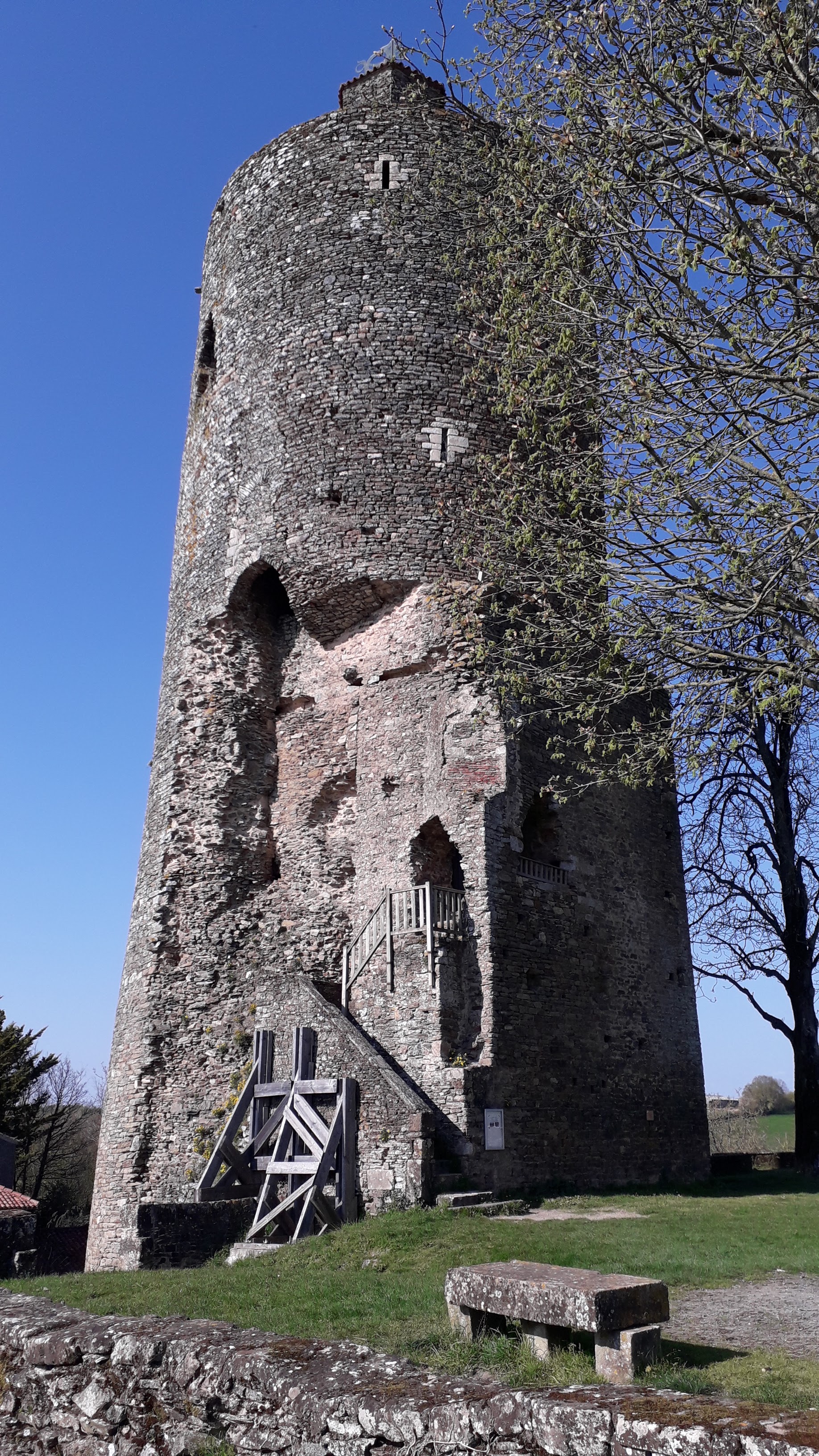 Photo n° 10 de l'avis de Thierry.e fait le 31/03/2019 à 19:33