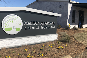 Madison Ridgeland Animal Hospital image