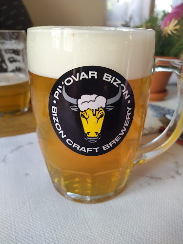 Recenze na Pivovar Bizon v Plzeň - Restaurace