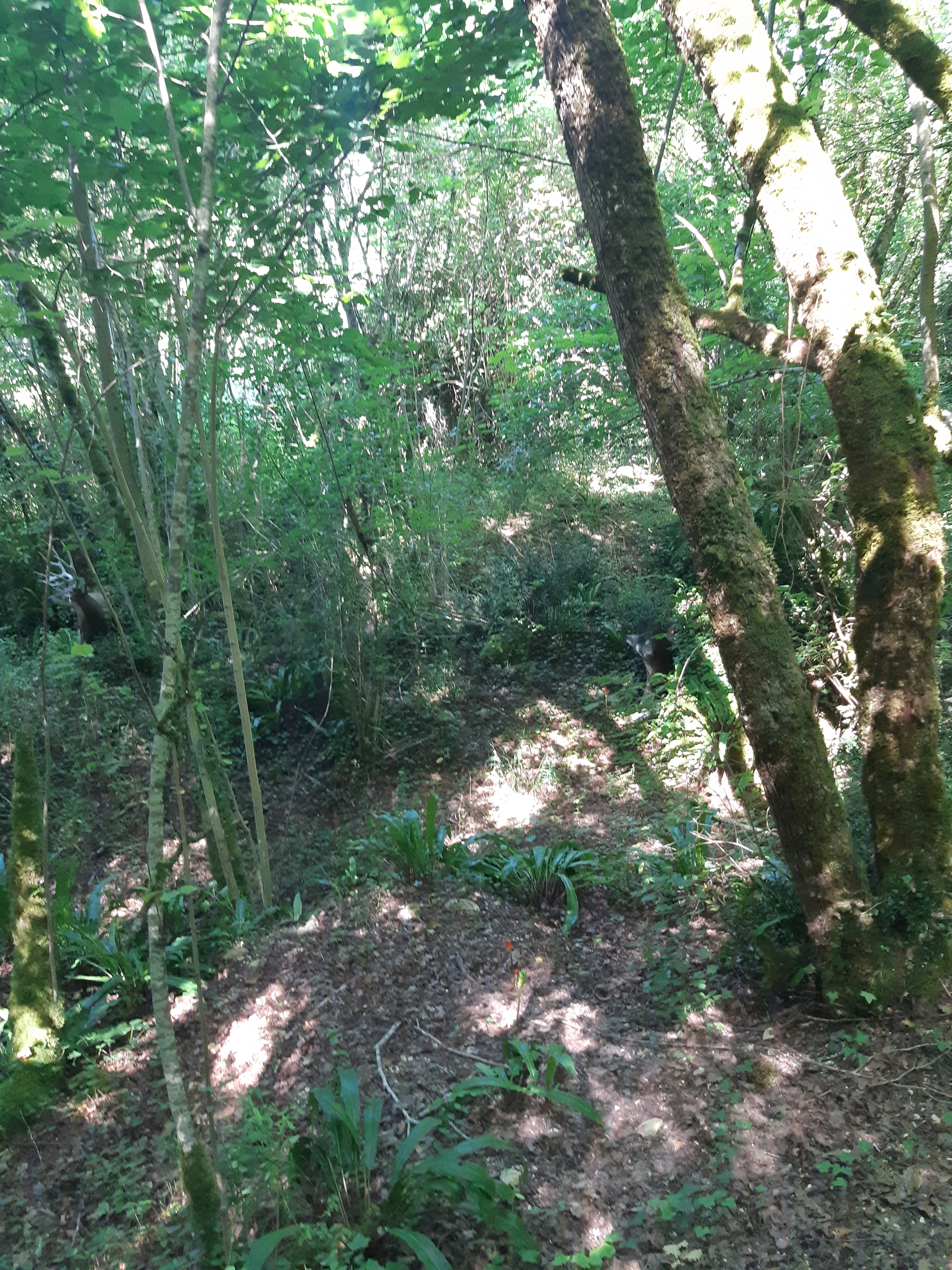 Photo n° 27 de l'avis de Pamela.e fait le 26/07/2018 à 11:23