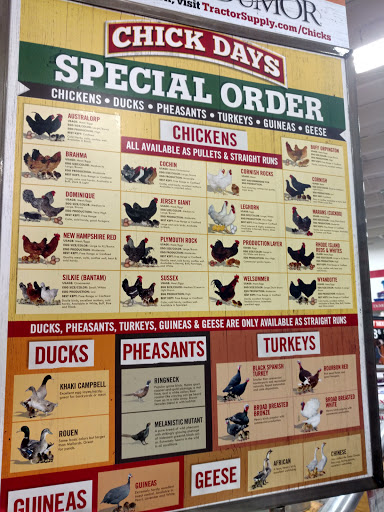 Home Improvement Store «Tractor Supply Co.», reviews and photos, 2091 E Main St, Spartanburg, SC 29307, USA