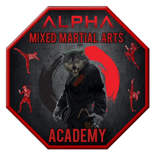 ALPHA MMA Academy Baia Mare - Școală