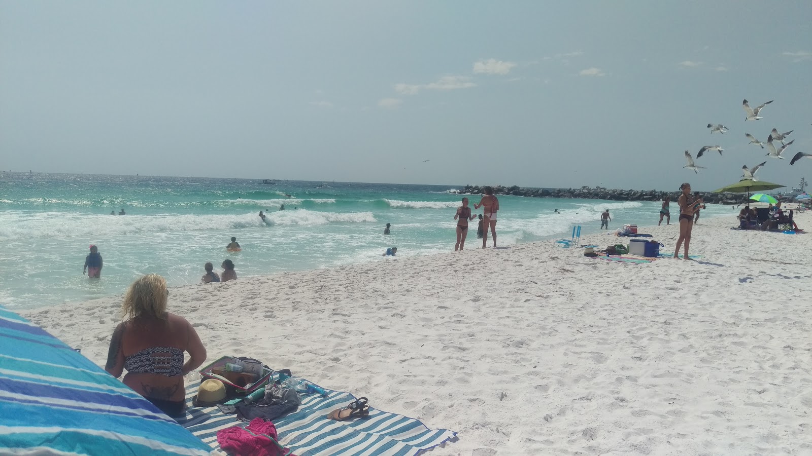 Shell Island Beach'in fotoğrafı - rahatlamayı sevenler arasında popüler bir yer