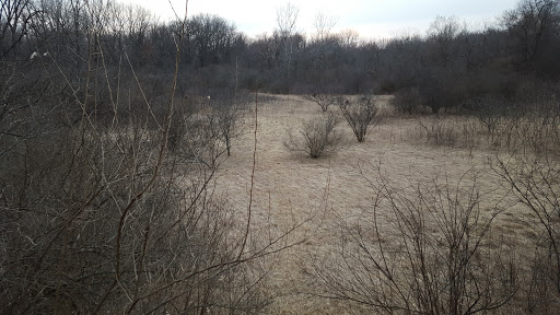 Nature Preserve «Knute Olson, Jr. Forest Preserve», reviews and photos, 12595 Base Line Rd, Kingston, IL 60145, USA