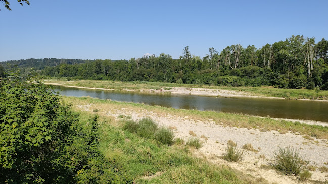 Rezensionen über Thurauen Naturschutzgebiet in Neuhausen am Rheinfall - Campingplatz