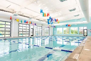 Arkansas Swim Academy image