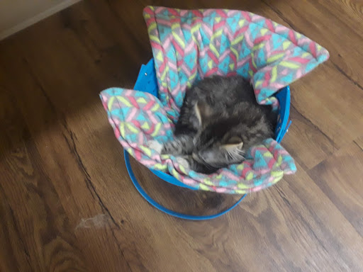 Pet Supply Store «PetPeople», reviews and photos, 3330 Washtenaw Ave, Ann Arbor, MI 48104, USA