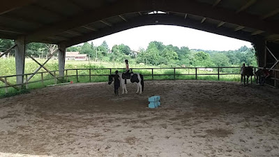 Le Cheval de 3 à Espelette