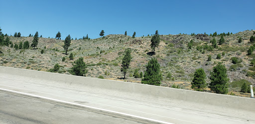 Restaurant «Back Forty Texas BBQ», reviews and photos, 1201 Orlando Ave, Roseville, CA 95661, USA