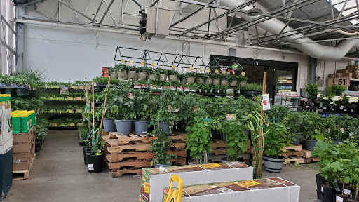 The Home Depot image