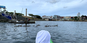 Ocean River Adventures