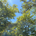 Photo n°4 de l'avis de David.a fait le 17/07/2022 à 14:35 sur le  Michaeligarten Wirtshaus à Munich