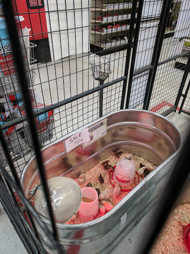 Home Improvement Store «Tractor Supply Co.», reviews and photos, 4377 Genesee Valley Plaza Rd, Geneseo, NY 14454, USA