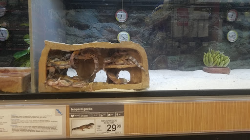 Pet Supply Store «Petco Animal Supplies», reviews and photos, 4175 Dowlen Rd, Beaumont, TX 77706, USA