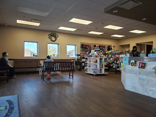 Animal Hospital «Animal Medical Corpus Christi», reviews and photos, 6822 Everhart Rd, Corpus Christi, TX 78413, USA