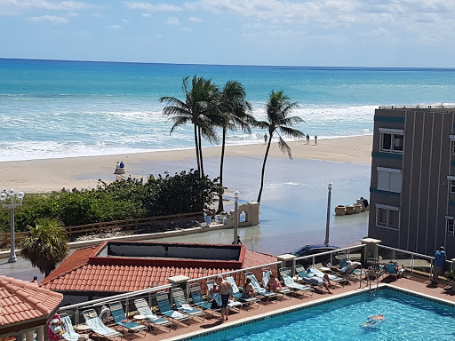 Shopping Mall «Oceanwalk Mall», reviews and photos, 101 N Ocean Dr, Hollywood, FL 33019, USA