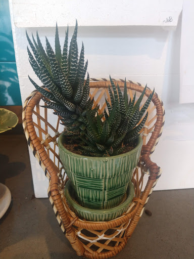 Coffee Shop «Foster Coffee Company», reviews and photos, 115 S Washington St, Owosso, MI 48867, USA