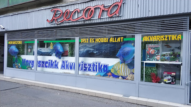 Rekord Akvarisztika-Horgászcikk Szaküzlet