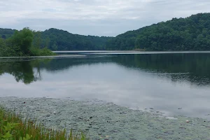 Lake Rupert image