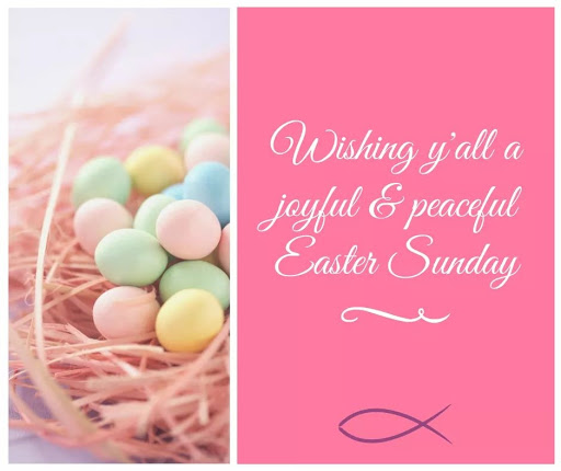 Pet Store «For Healthy Pets!», reviews and photos, 5165 Atlanta Hwy, Montgomery, AL 36109, USA