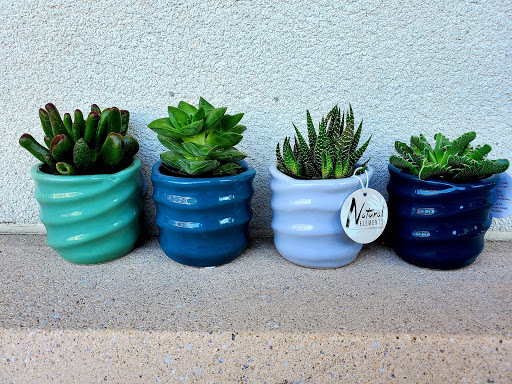 Florist «Bakanas Flowers And Gifts», reviews and photos, 27 N Maple Ave, Marlton, NJ 08053, USA