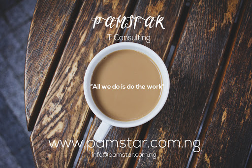 Pamstar Nigeria, , Computer Consultant, state Rivers