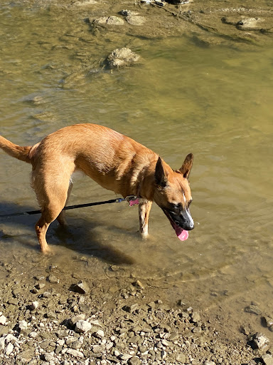 Pet Supply Store «PetSmart», reviews and photos, 104 Dettro Dr, Mattoon, IL 61938, USA