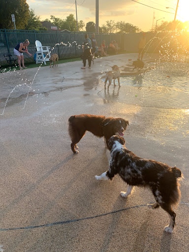 Veterinarian «PetCoral Resort and Veterinary», reviews and photos, 924 Del Prado Blvd, Cape Coral, FL 33990, USA