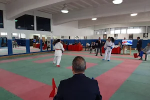 Federacion Nacional De Karate De Guatemala image