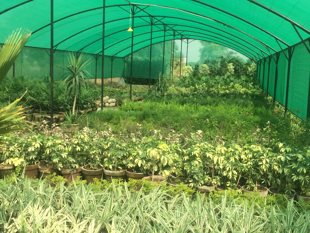 Pak Fiori Nursery Islamabad