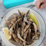 Photo n° 7 de l'avis de Xavier.H fait le 17/06/2023 à 05:05 pour Restaurant Beau Rivage à Allerey-sur-Saône