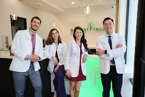 Dentist Tree Of The Heights - Dentist Houston - Cosmetic & General Dentistry Houston TX image