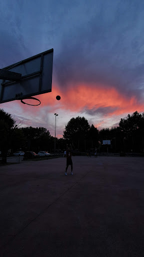 Campo da pallacanestro